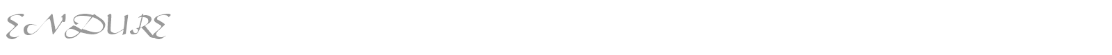 ENDURE font preview